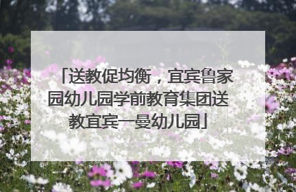 送教促均衡，宜宾鲁家园幼儿园学前教育集团送教宜宾一曼幼儿园