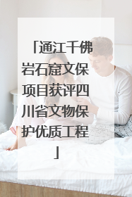 通江千佛岩石窟文保项目获评四川省文物保护优质工程