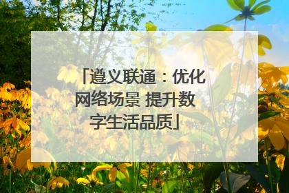 遵义联通：优化网络场景 提升数字生活品质