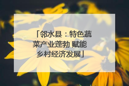 邻水县：特色蔬菜产业蓬勃 赋能乡村经济发展