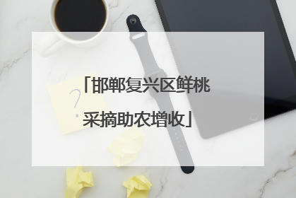 邯郸复兴区鲜桃采摘助农增收