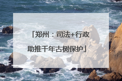 郑州：司法+行政助推千年古树保护
