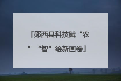 郧西县科技赋“农”“智”绘新画卷