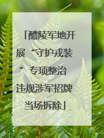 醴陵军地开展“守护戎装”专项整治 违规涉军招牌当场拆除