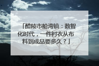 醴陵市船湾镇：数智化时代，一件衬衣从布料到成品要多久？