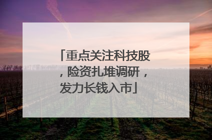 重点关注科技股，险资扎堆调研，发力长钱入市