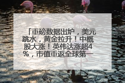 重磅数据出炉，美元跳水，黄金拉升！中概股大涨！英伟达涨超4%，市值重返全球第一！黄仁勋计划出售至多600万股股票