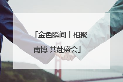 金色瞬间丨相聚南博 共赴盛会