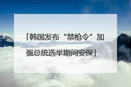 韩国发布“禁枪令”加强总统选举期间安保