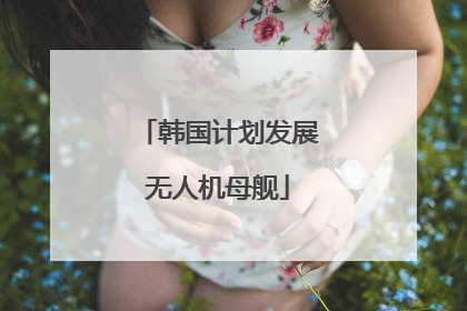 韩国计划发展无人机母舰