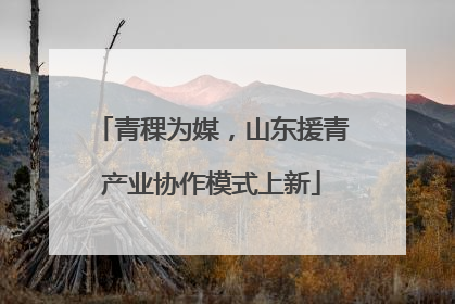 青稞为媒，山东援青产业协作模式上新