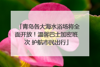 青岛各大海水浴场将全面开放！温馨巴士加密班次 护航市民出行