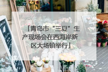 青岛市“三夏”生产现场会在西海岸新区大场镇举行