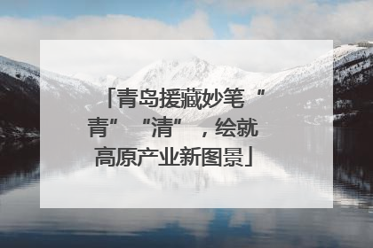 青岛援藏妙笔“青”“清”，绘就高原产业新图景