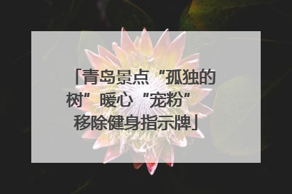 青岛景点“孤独的树”暖心“宠粉” 移除健身指示牌