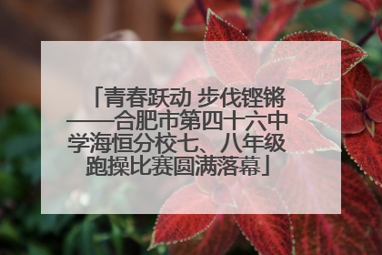 青春跃动 步伐铿锵——合肥市第四十六中学海恒分校七、八年级跑操比赛圆满落幕