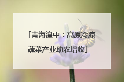 青海湟中：高原冷凉蔬菜产业助农增收