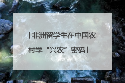 非洲留学生在中国农村学“兴农”密码