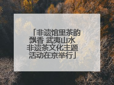 非遗馆里茶韵飘香 武夷山水非遗茶文化主题活动在京举行