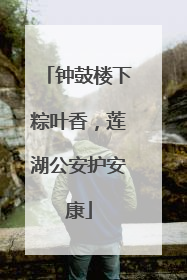 钟鼓楼下粽叶香，莲湖公安护安康