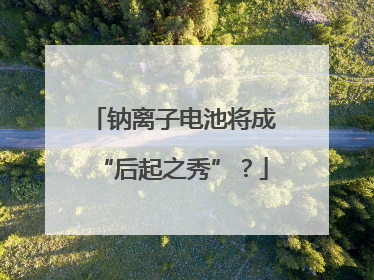 钠离子电池将成“后起之秀”？
