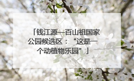 钱江源—百山祖国家公园候选区：“这是一个动植物乐园”