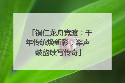 铜仁龙舟竞渡：千年传统焕新彩，桨声鼓韵续写传奇