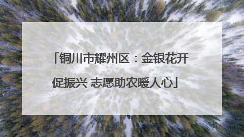 铜川市耀州区：金银花开促振兴 志愿助农暖人心