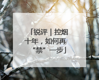 锐评｜控烟十年，如何再“禁”一步