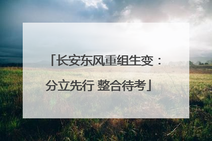 长安东风重组生变：分立先行 整合待考