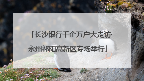 长沙银行千企万户大走访·永州祁阳高新区专场举行