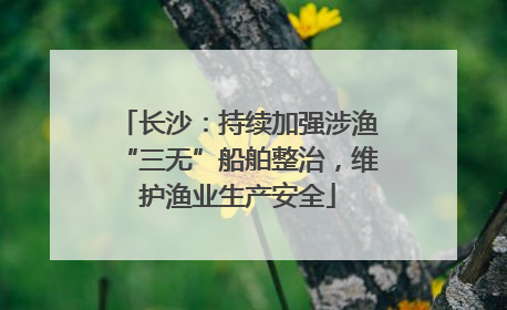 长沙：持续加强涉渔“三无”船舶整治，维护渔业生产安全