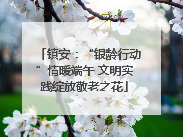 镇安：“银龄行动”情暖端午 文明实践绽放敬老之花