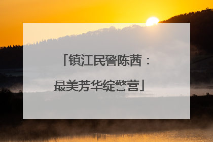 镇江民警陈茜：最美芳华绽警营
