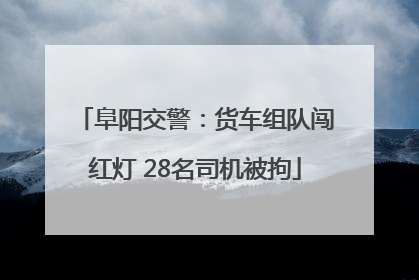 阜阳交警：货车组队闯红灯 28名司机被拘