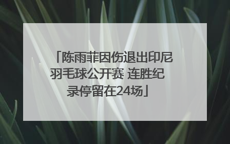 陈雨菲因伤退出印尼羽毛球公开赛 连胜纪录停留在24场