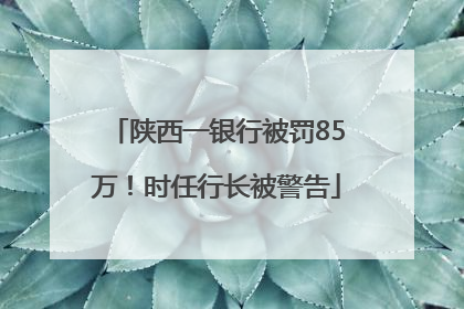 陕西一银行被罚85万！时任行长被警告