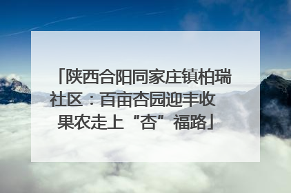 陕西合阳同家庄镇柏瑞社区：百亩杏园迎丰收 果农走上“杏”福路