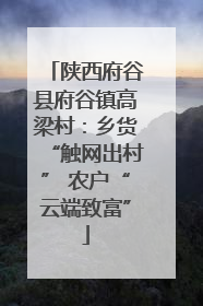 陕西府谷县府谷镇高梁村：乡货“触网出村” 农户“云端致富”