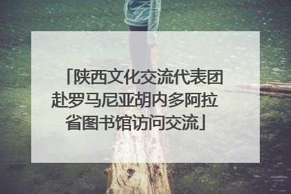 陕西文化交流代表团赴罗马尼亚胡内多阿拉省图书馆访问交流