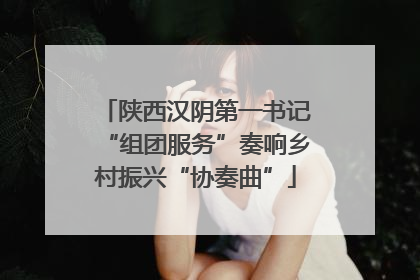 陕西汉阴第一书记“组团服务”奏响乡村振兴“协奏曲”