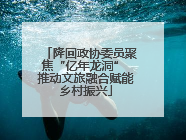 隆回政协委员聚焦“亿年龙洞” 推动文旅融合赋能乡村振兴