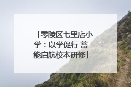 零陵区七里店小学：以学促行 蓄能启航校本研修