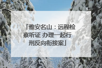 雅安名山：远程检察听证 办理一起行刑反向衔接案