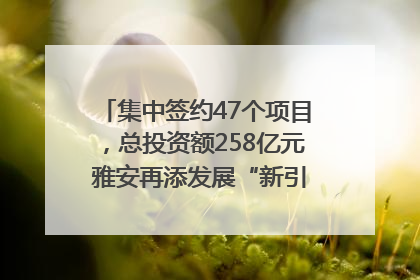 集中签约47个项目，总投资额258亿元 雅安再添发展“新引擎”｜数读西投