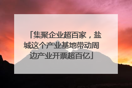集聚企业超百家，盐城这个产业基地带动周边产业开票超百亿