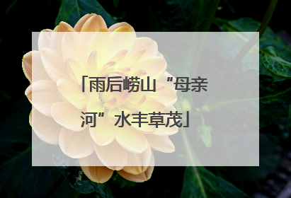 雨后崂山“母亲河”水丰草茂