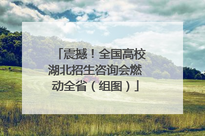 震撼！全国高校湖北招生咨询会燃动全省（组图）