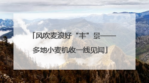 风吹麦浪好“丰”景——多地小麦机收一线见闻