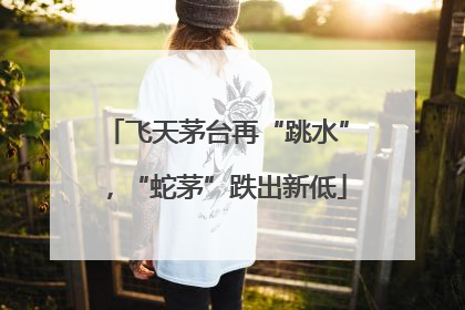 飞天茅台再“跳水”，“蛇茅”跌出新低